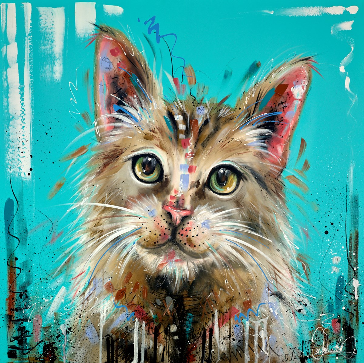 Curiosity